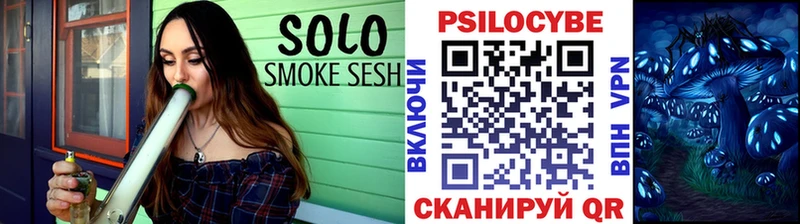 Галлюциногенные грибы Cubensis  Купить закладки  Новотитаровская 